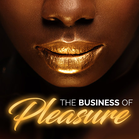 the business of pleasure mobile header