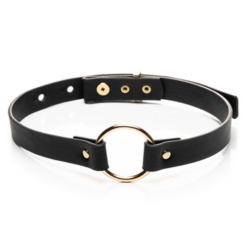 An image of the Vixen choker on a white background. The collar is made of black faux-leather, with an adjustable strap and buckle in the back and a golden ring at the front.